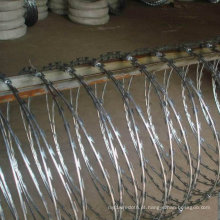 Hot Dipped Galvanizado Razor Barbados Wirebto-11